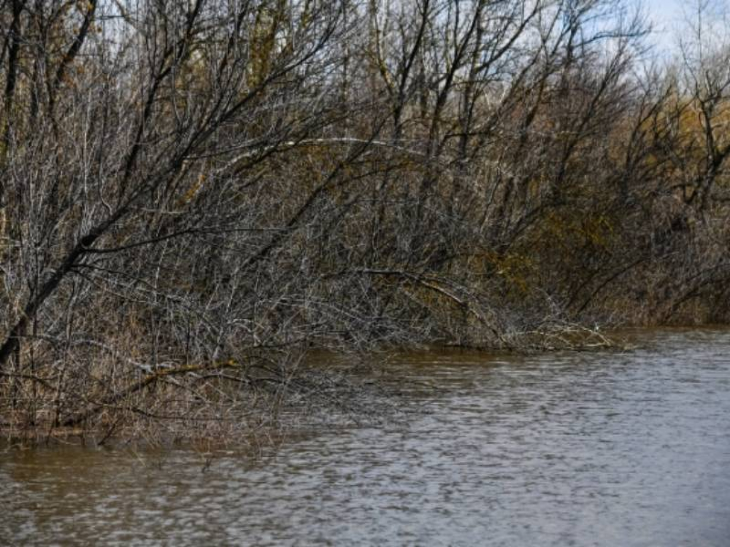 В реке на севере Волгограда найдено тело мужчины без головы